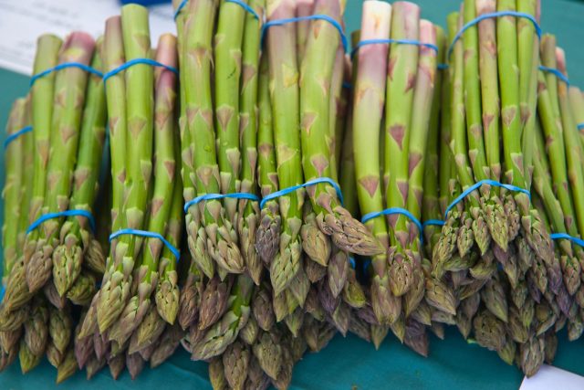 Chřest  (ilustrační foto) | foto: Fotobanka Profimedia