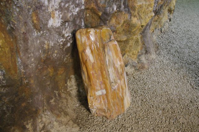 V podzemí je k vidění třeba i zkamenělé dřevo | foto: Český rozhlas