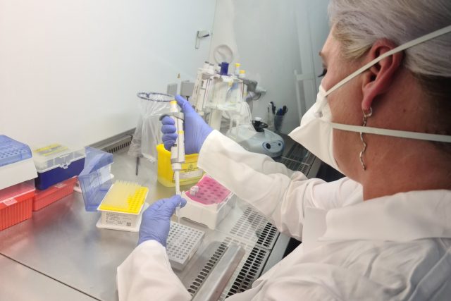 Výzkumníci z olomoucké lékařské fakulty Univerzity Palackého vyvinuli nový test na koronavirus | foto: Barbora Sonnková,  Český rozhlas
